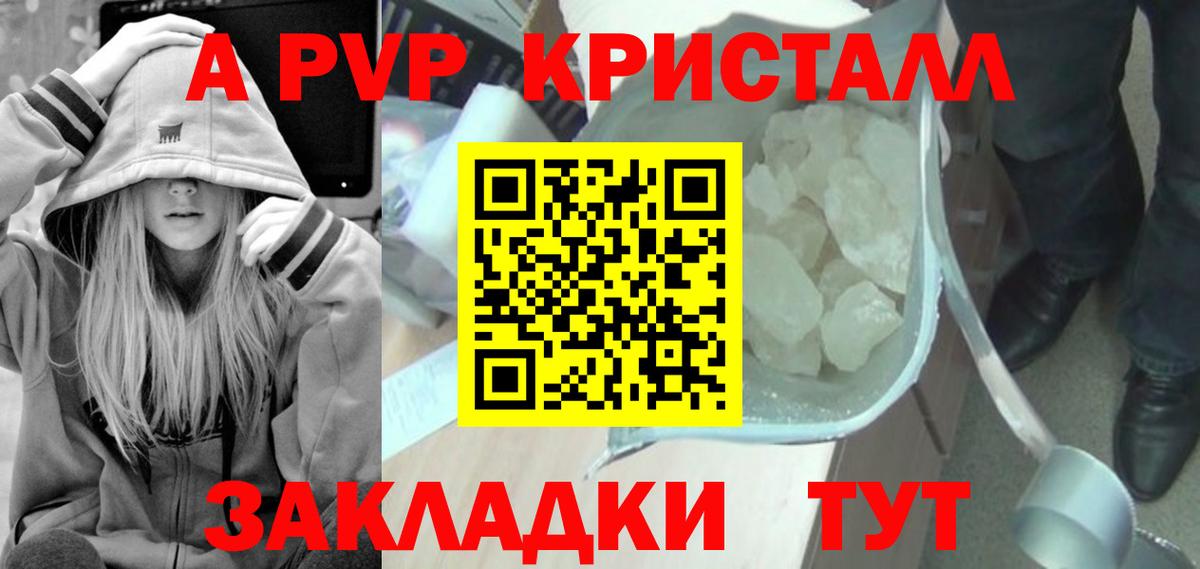A-PVP СК КРИС Элиста