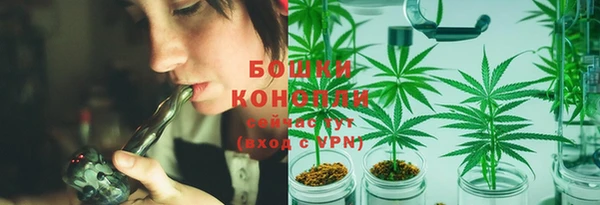 дмт Бронницы