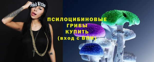 спиды Снежногорск