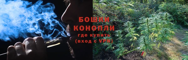 альфа пвп Новодвинск