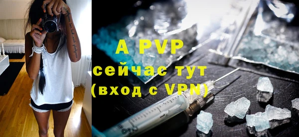альфа пвп Новодвинск