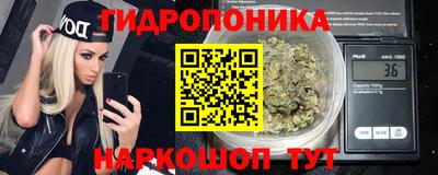 spice Лесосибирск