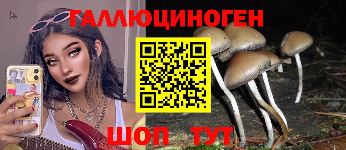 Галлюциногенные грибы ЛСД Элиста