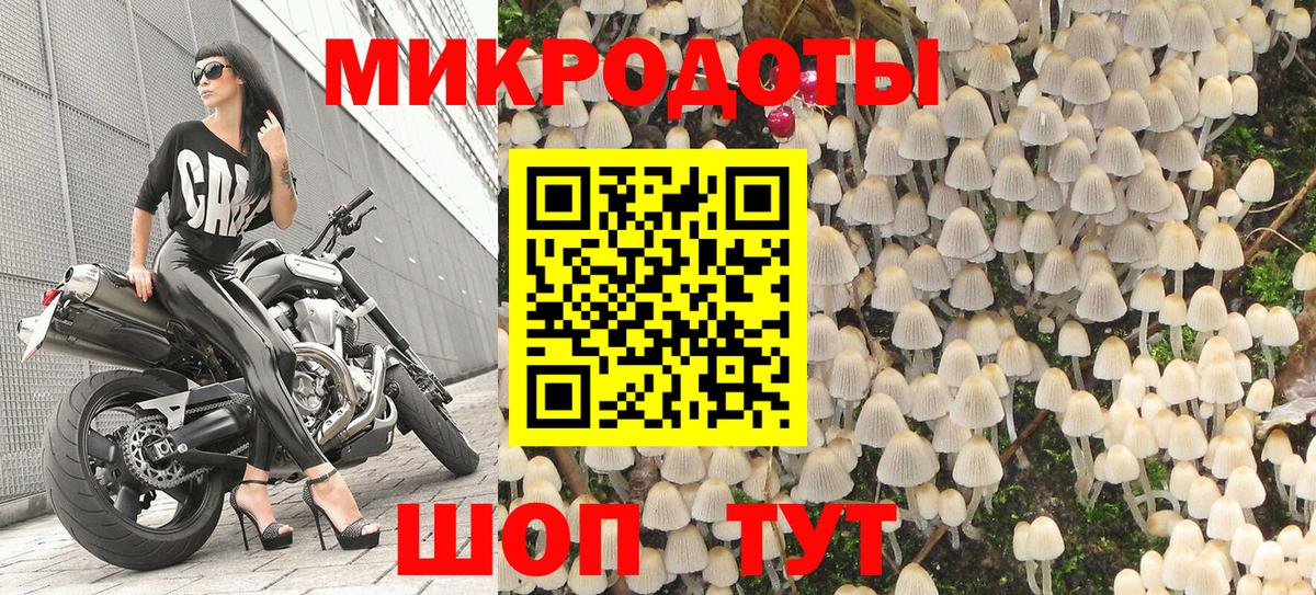 Галлюциногенные грибы прущие грибы  Вход с VPN  наркота  Элиста  Галлюциногенные грибы прущие грибы 