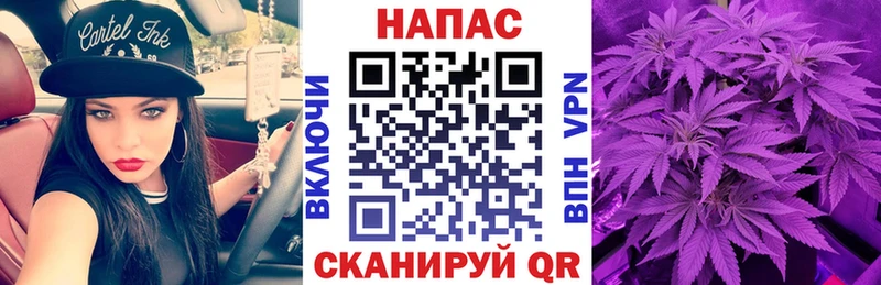 сколько стоит  это Telegram  Шишки марихуана марихуана  Элиста 